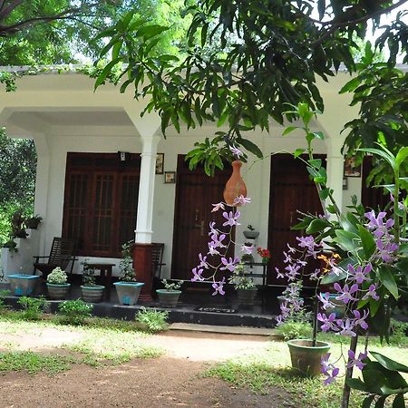 Sigiriya Flower Guest Hotel Екстериор снимка