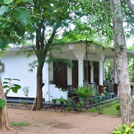 Sigiriya Flower Guest Hotel Екстериор снимка