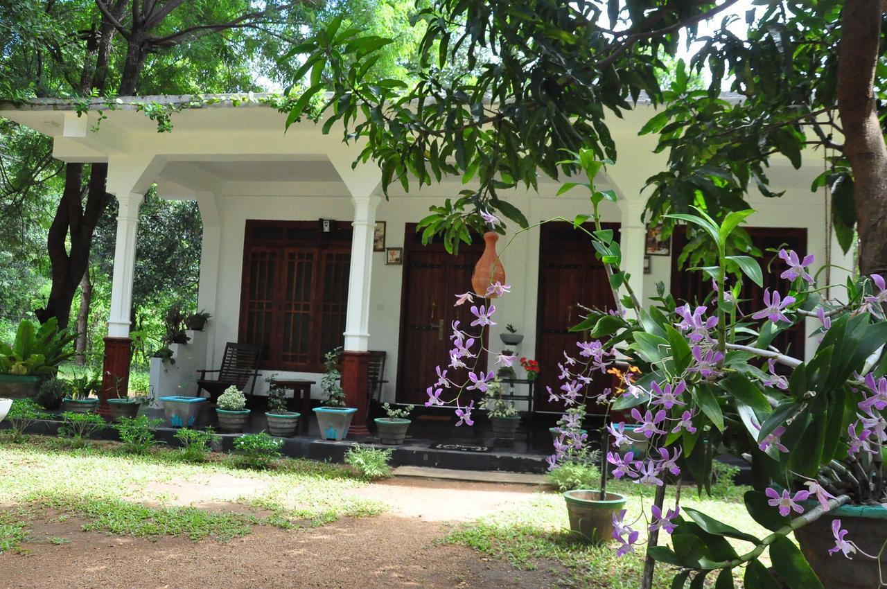 Sigiriya Flower Guest Екстериор снимка