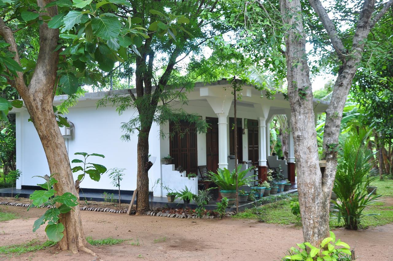 Sigiriya Flower Guest Hotel Екстериор снимка